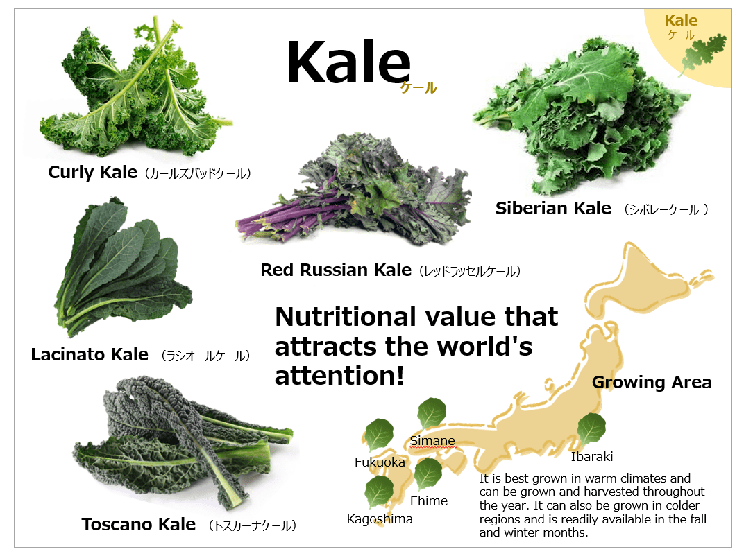 Nutrients in Kale