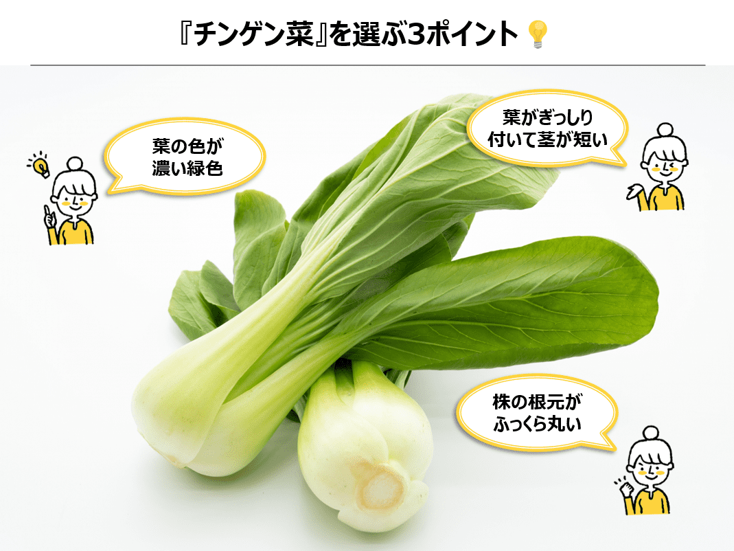 チンゲン菜を選ぶ3ポイント