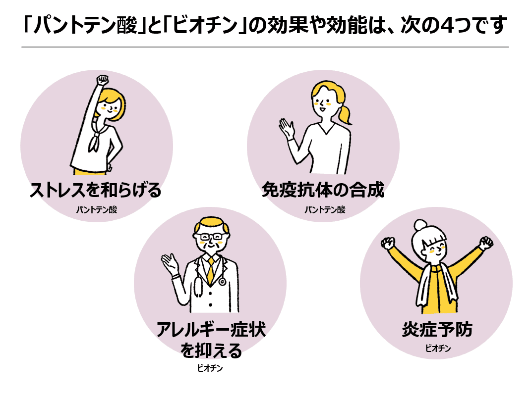 しいたけの魅力を徹底解説！旨みたっぷりの万能キノコ