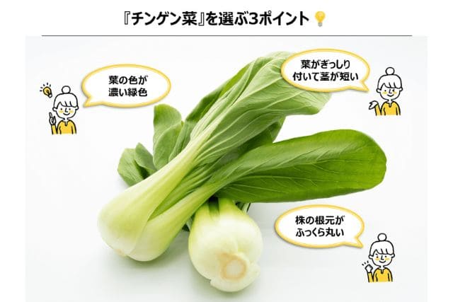 美味しいチンゲン菜の選び方3つのポイント