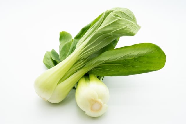 チンゲン菜（青梗菜）の写真