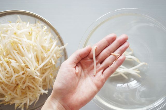 手のひらに一本のもやしをのせて鮮度を確認している写真