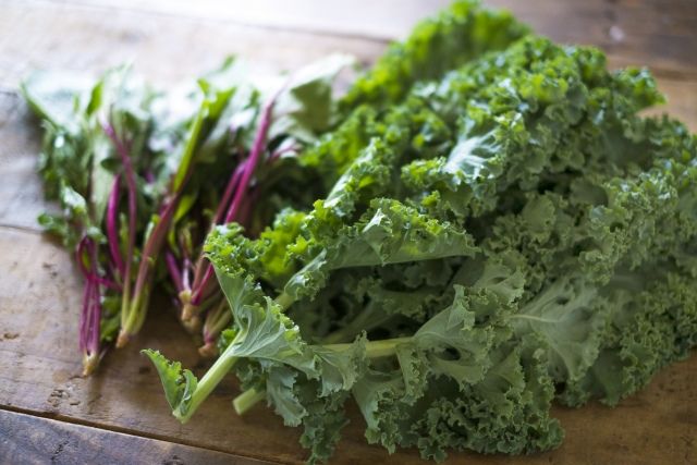 調理前のケールの葉と茎の状態が分かる写真