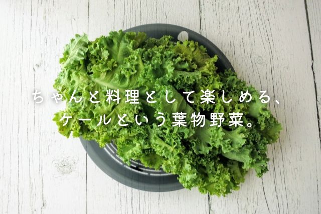 料理として楽しめるケールの葉を盛り付けた写真