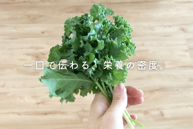 栄養密度が高いスーパーフード・ケールを手に持った写真