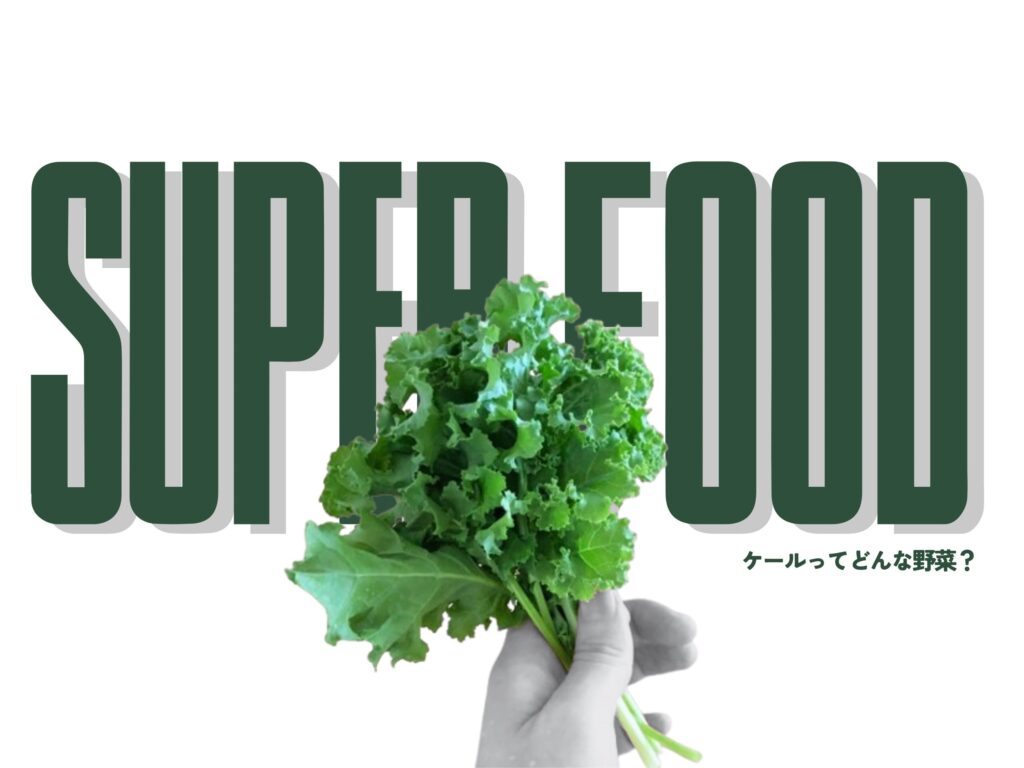 手に持ったケールの写真｜栄養豊富なスーパーフード野菜