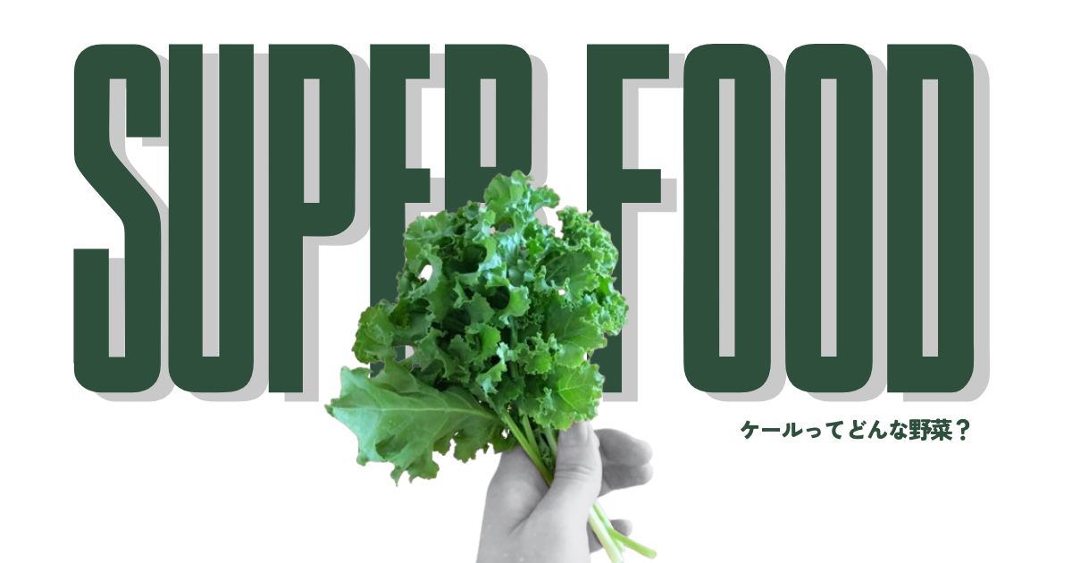手に持ったケールのアイキャッチ画像｜栄養豊富なスーパーフード野菜