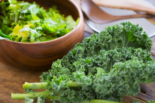 葉の形が異なるケールの種類が分かる写真