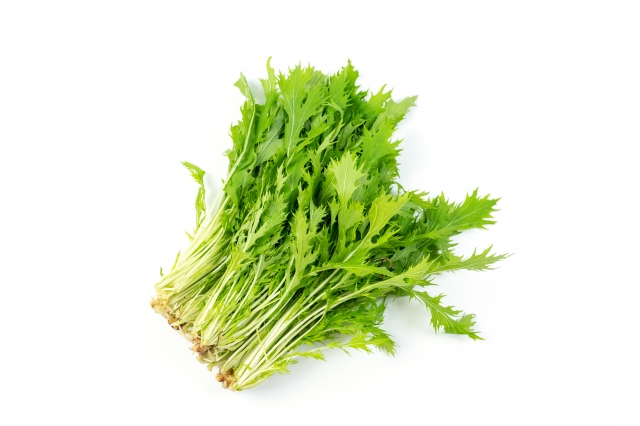 水菜と長芋の塩だれサラダに使用する水菜の写真