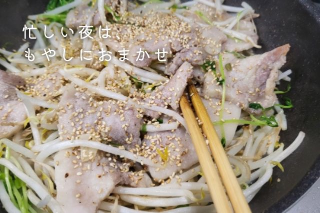 忙しい夜でも作れる豚肉ともやしの簡単炒め料理