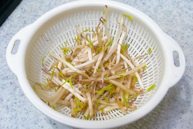 ザルに入ったもやしの写真