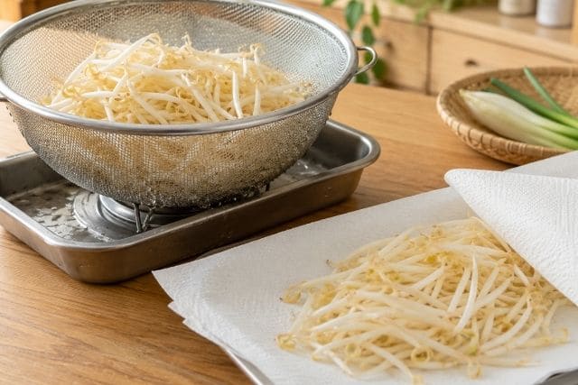 もやし炒飯を水っぽくしないために、ザルとキッチンペーパーでもやしの水気を切る工程