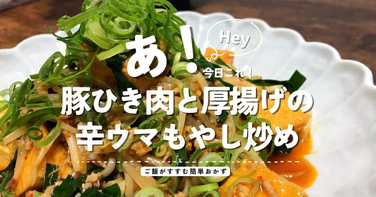 豚ひき肉と厚揚げの辛ウマもやし炒めを盛り付けた、ご飯がすすむ簡単おかずのアイキャッチ画像